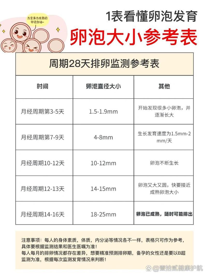卵泡发育同步性
