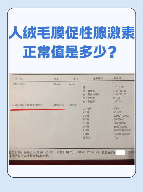 人体绒毛膜促性腺激素