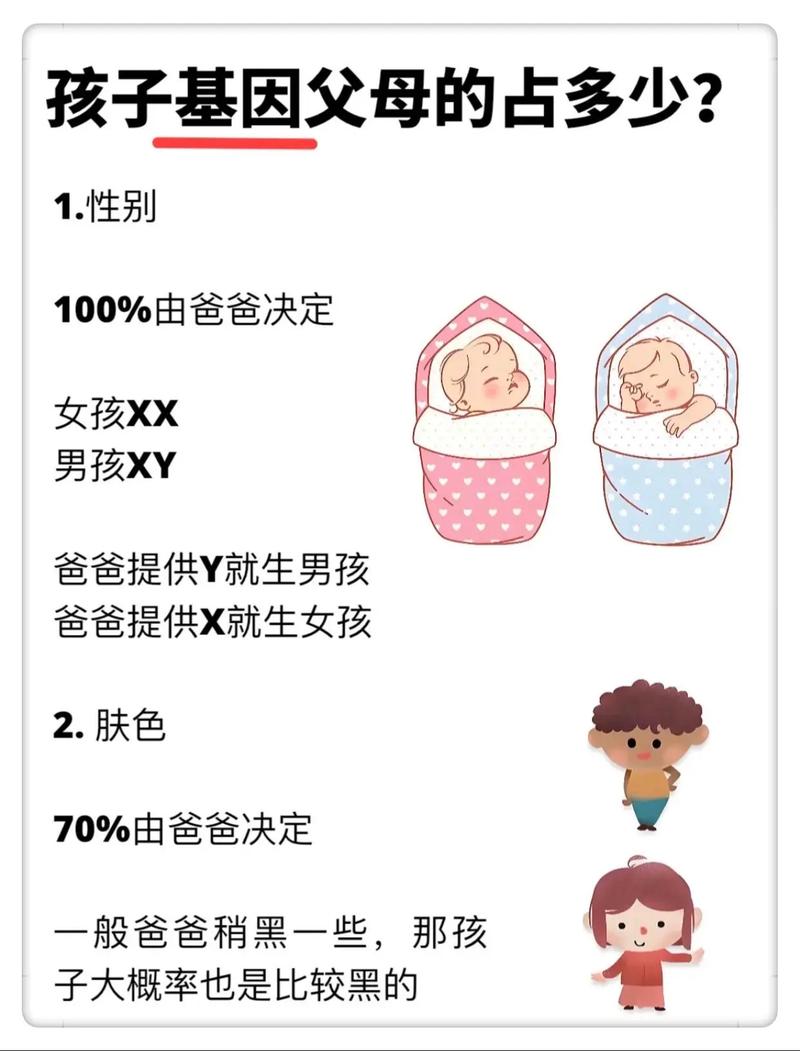 试管婴儿的遗传相似度：与父母有多像？