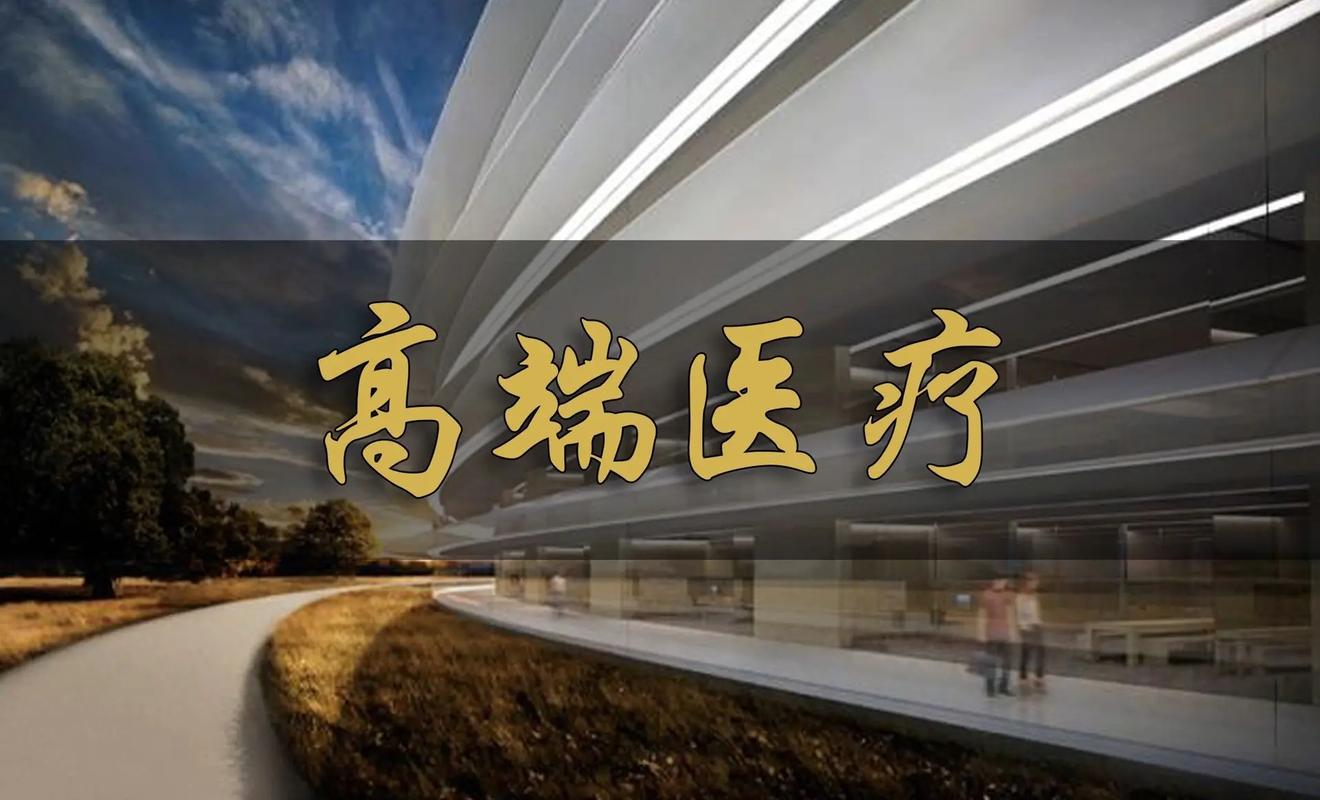 高端医疗