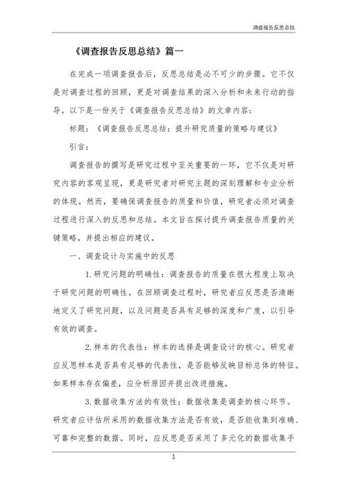 调查反思