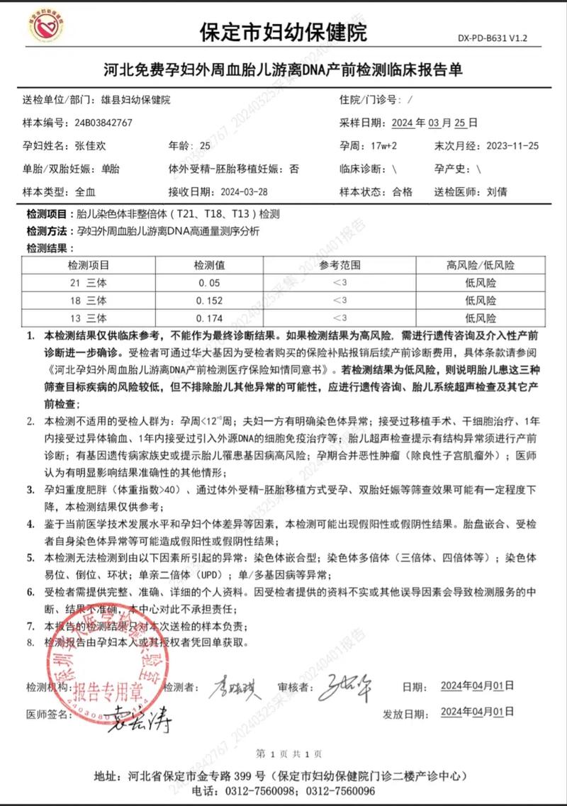 DNA亲子鉴定