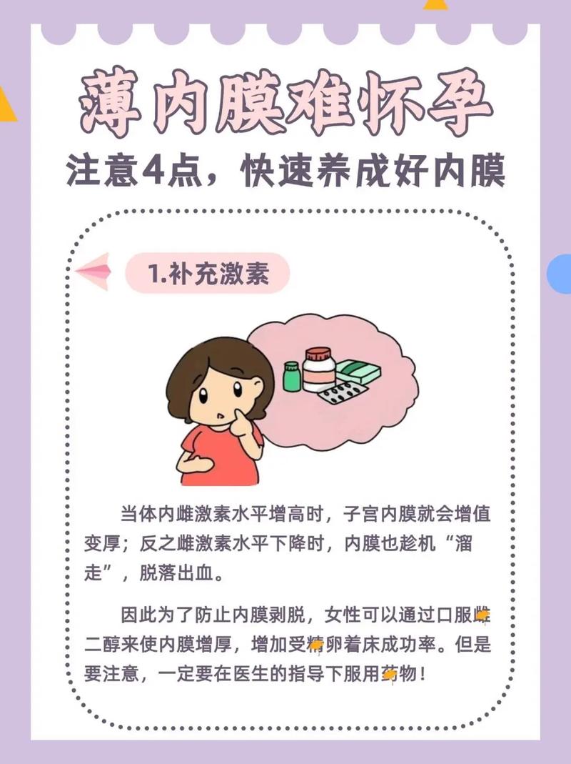 内膜调节