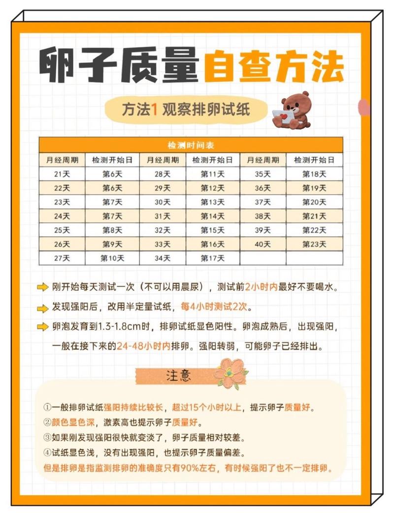 卵子评估