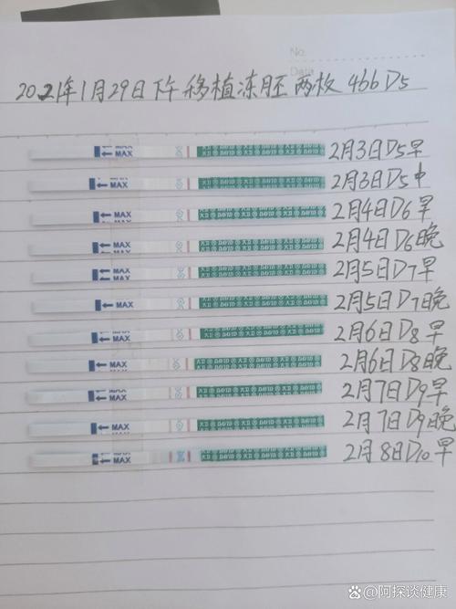 移植第十天