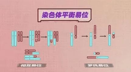 基因异位
