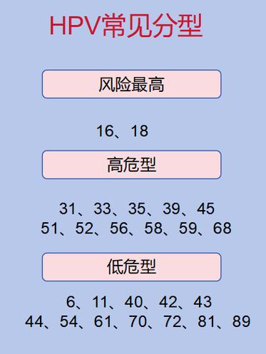 发病概率