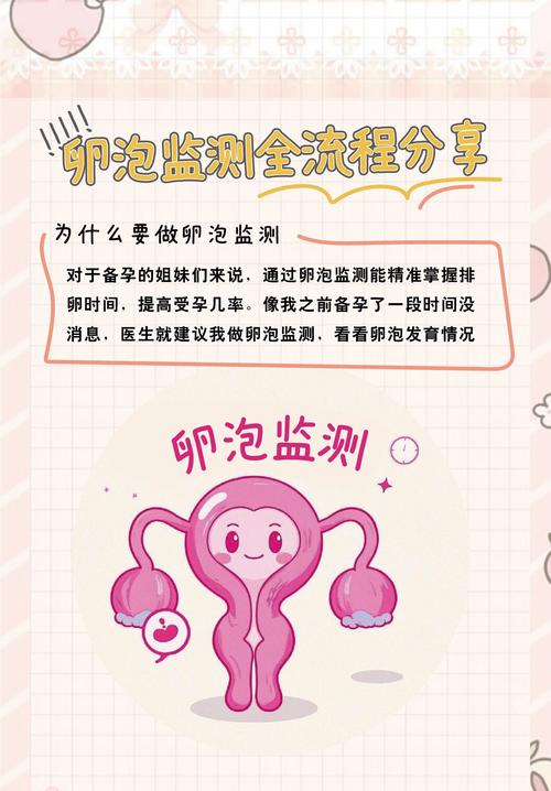 卵泡管理