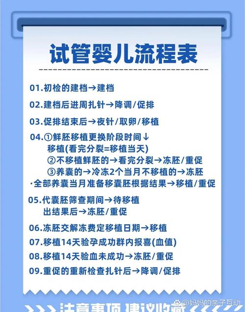 试管婴儿过程注意