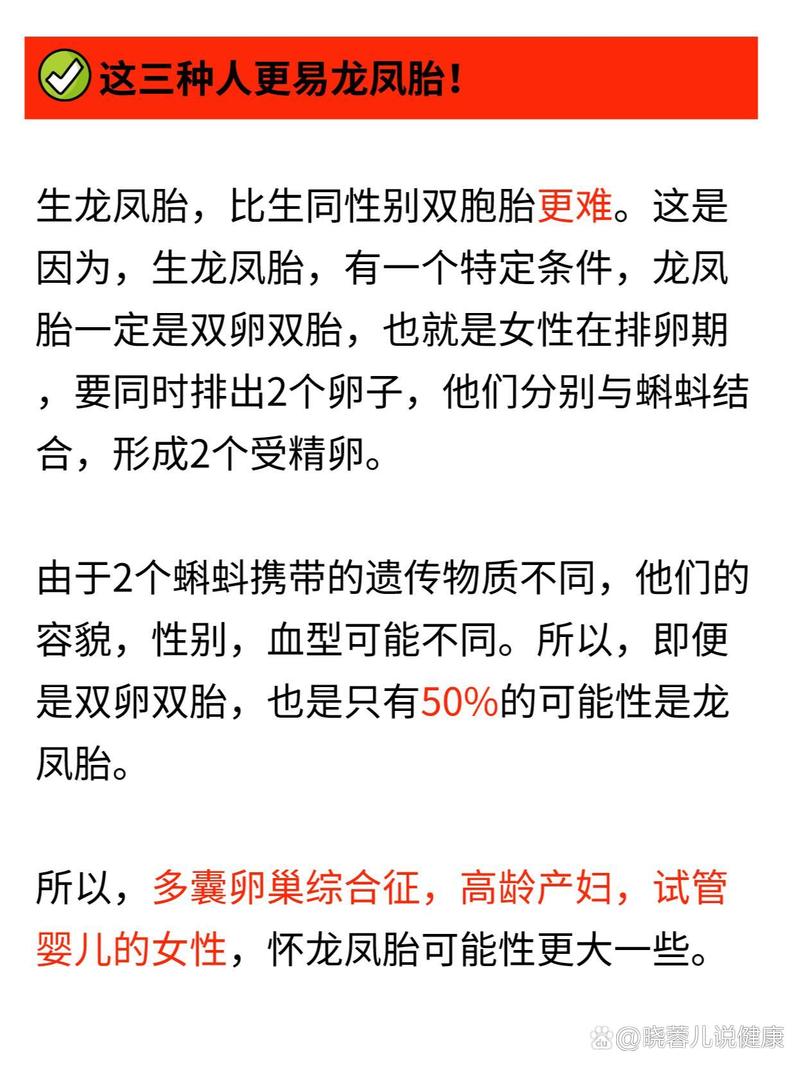 龙凤胎几率