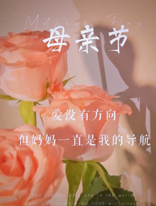  母亲节