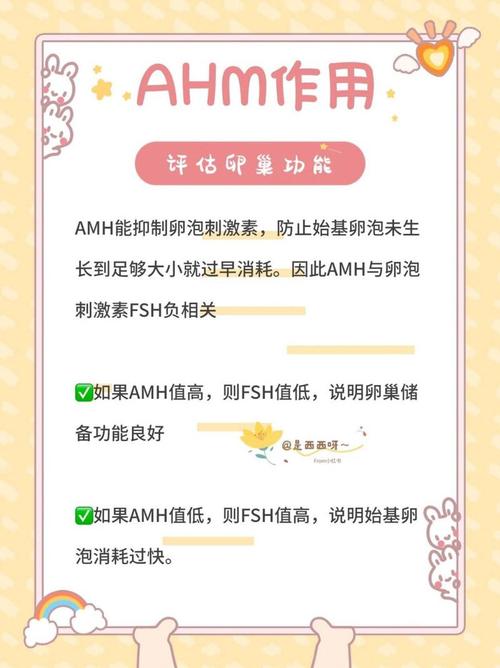 如何应对试管婴儿卵泡不好的情况？