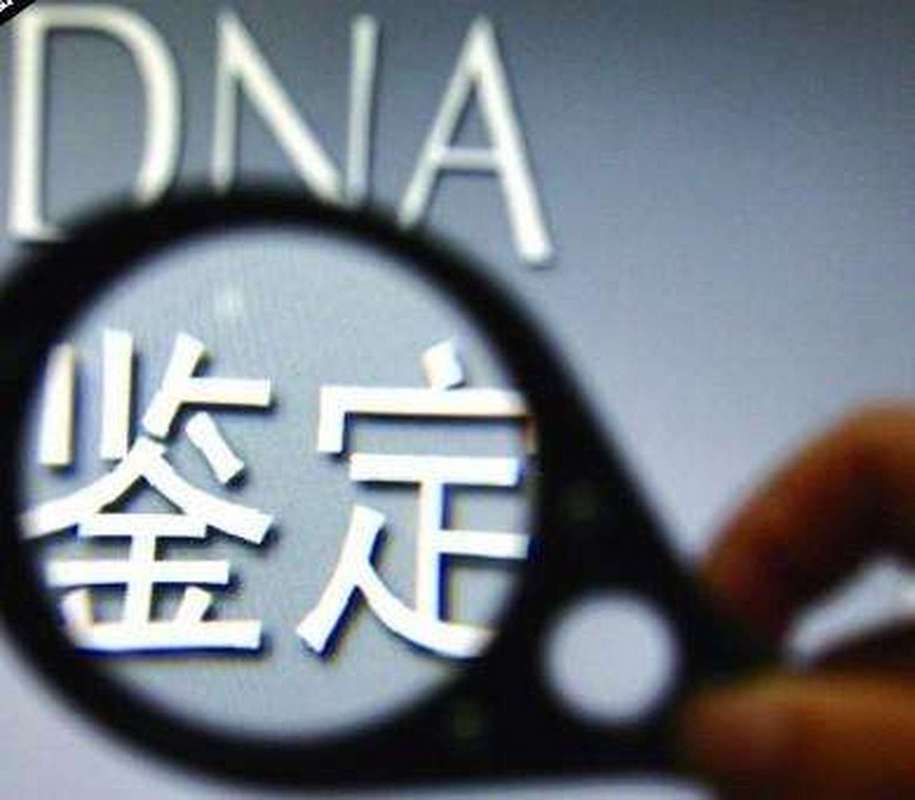  DNA鉴定