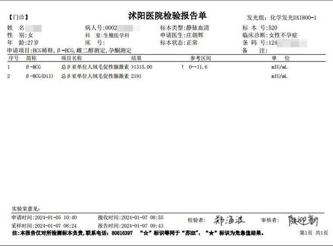 囊胚检查报告