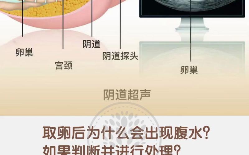 试管婴儿取暖后为何会腹泻？