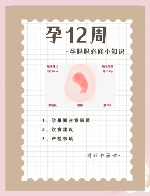 十二周成长阶段