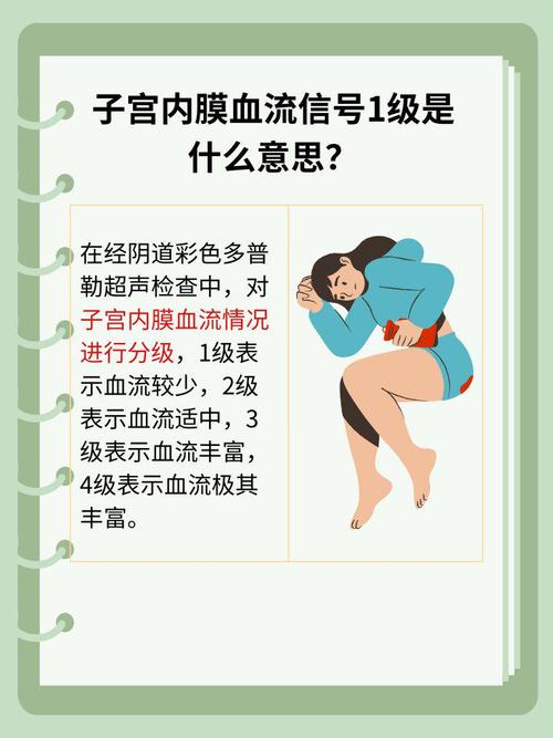 内膜血流