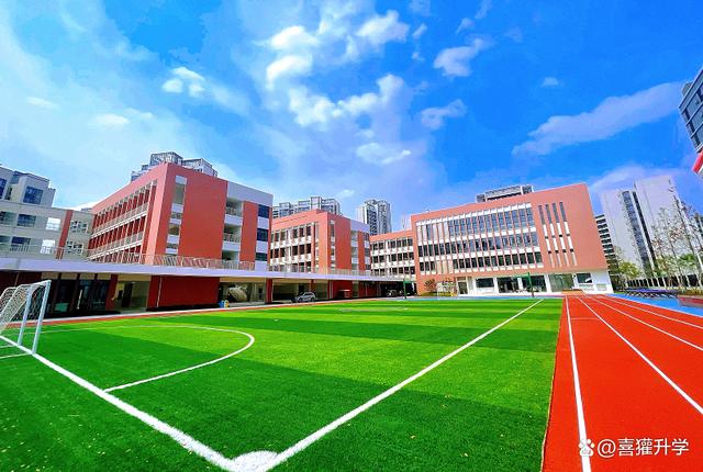  公立学校