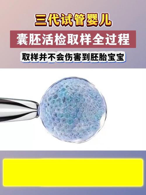  囊胚活检