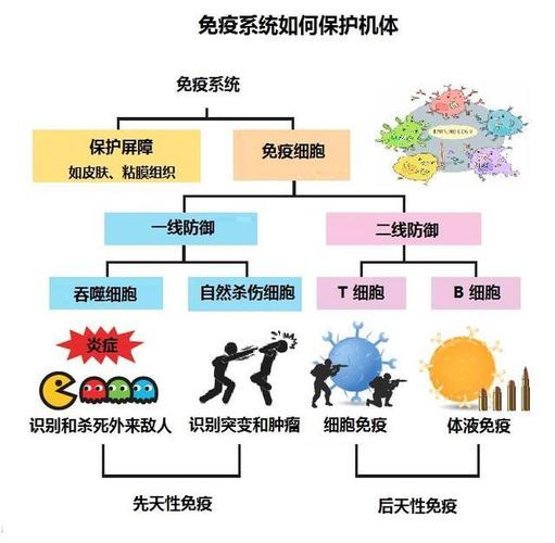 免疫状态