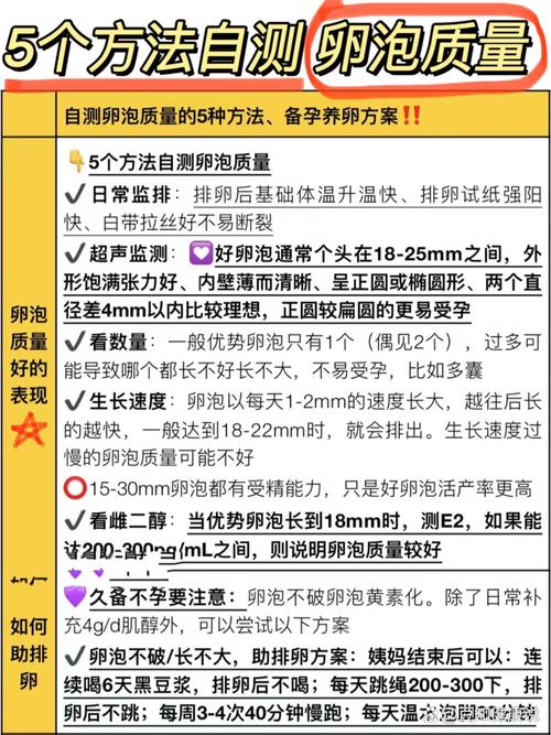 提高卵泡质量方法