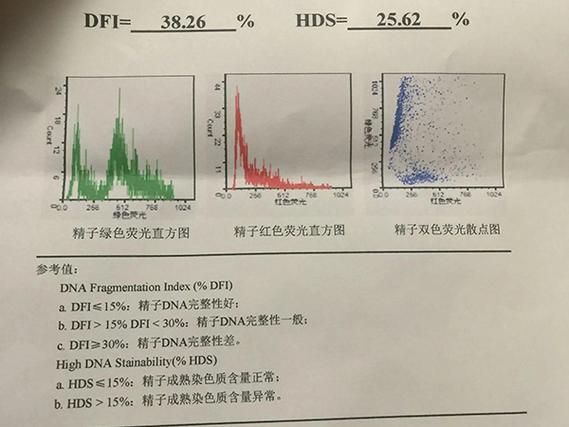  DNA完整性测试