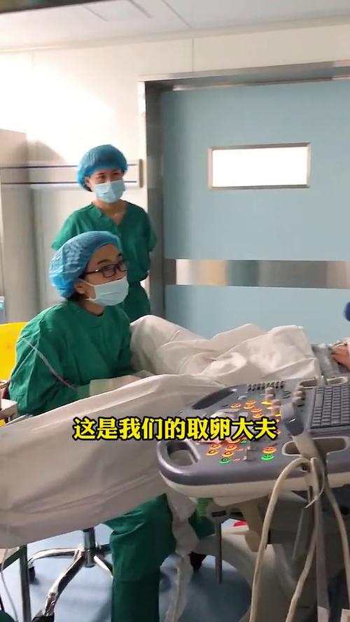 女性取卵