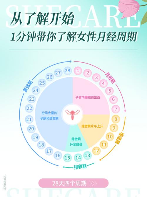 生理周期