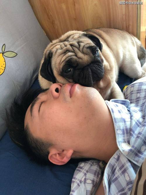  抚慰