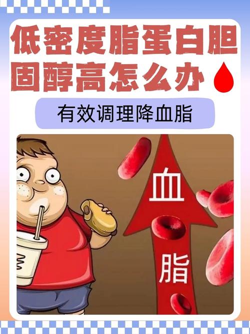  血脂低