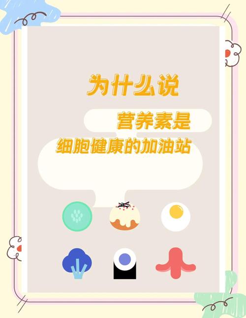 营养助力
