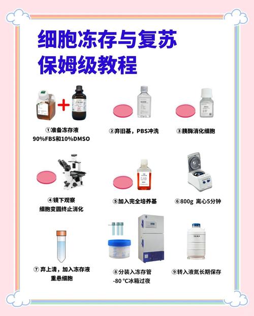 冻存护理