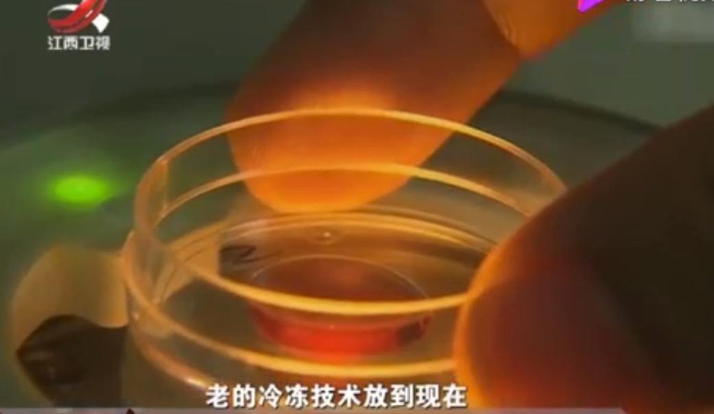 试管婴儿冷冻