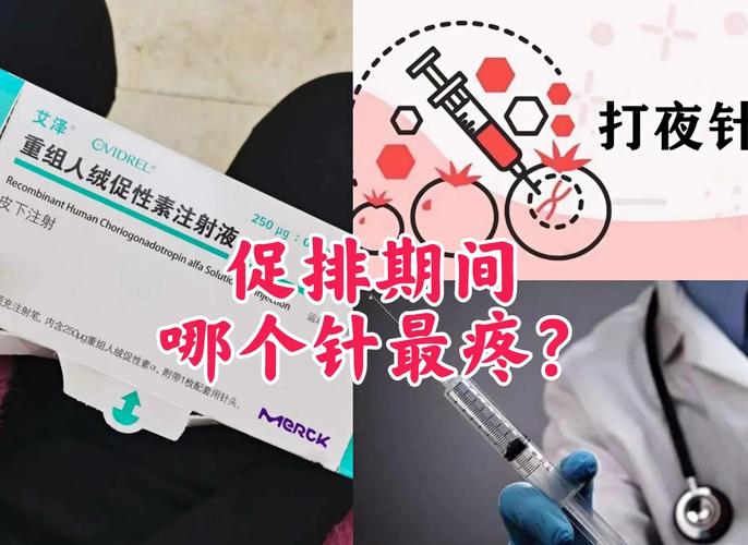 试管婴儿：针扎屁股为何如此疼痛？