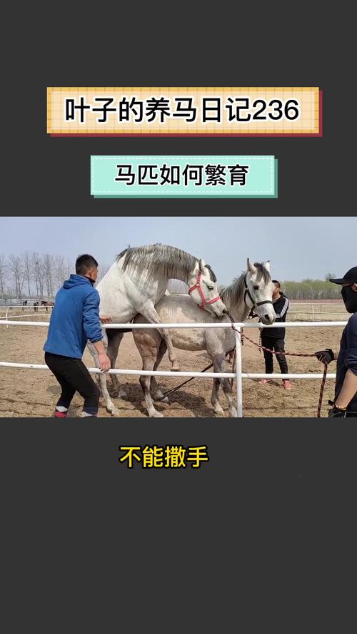 繁育