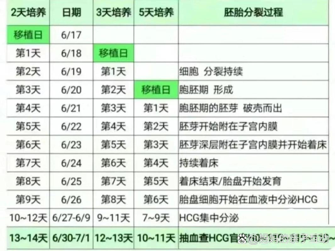 移植时间过长