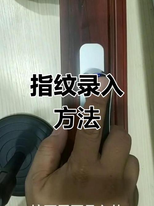 指纹录入
