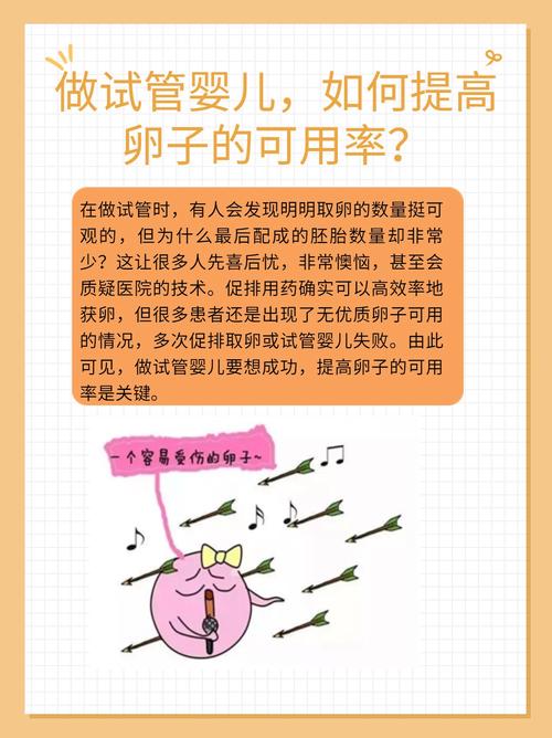 试管婴儿：如何增加优质卵泡数量？