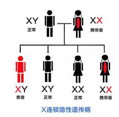  男性遗传病