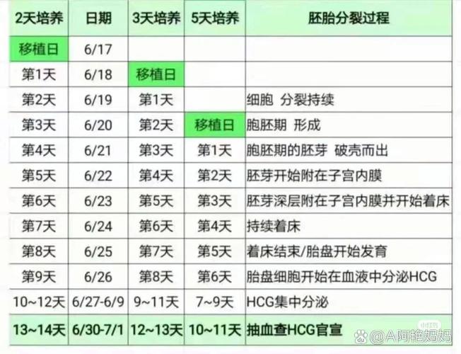试管婴儿移植后腰酸如何缓解？