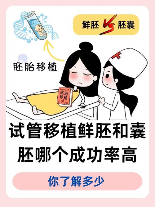 试管婴儿6细胞移植成功率好吗？