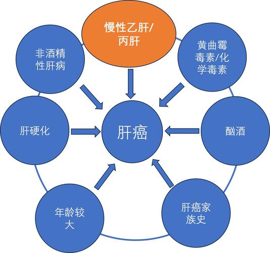 高风险因素