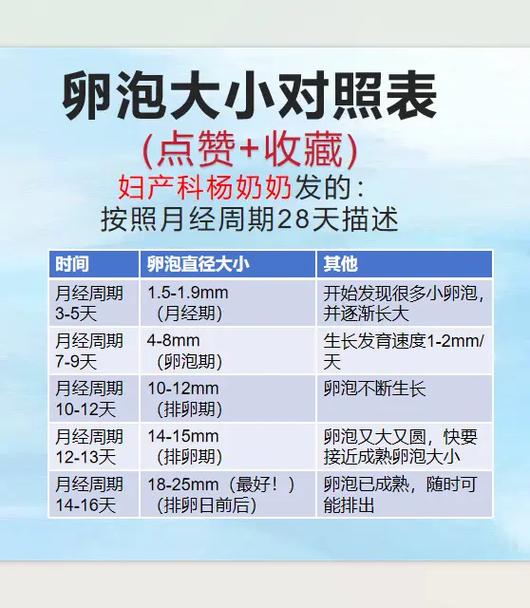 卵泡数值