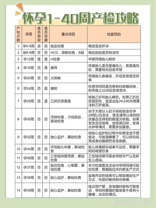 早期产检项目