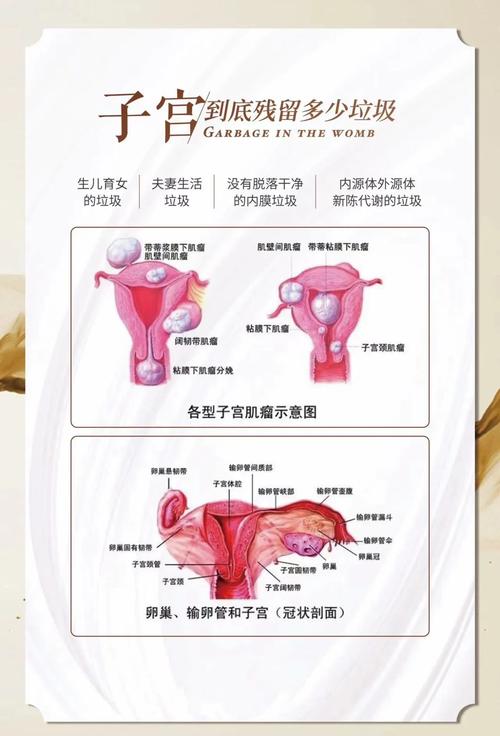 子宫健康