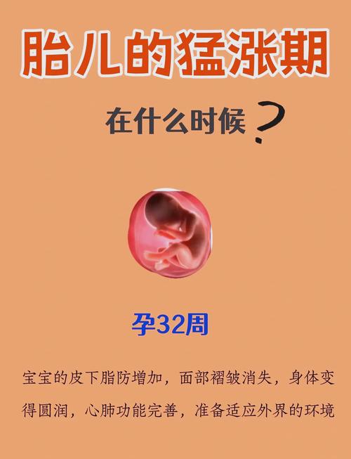 胚胎发育速度