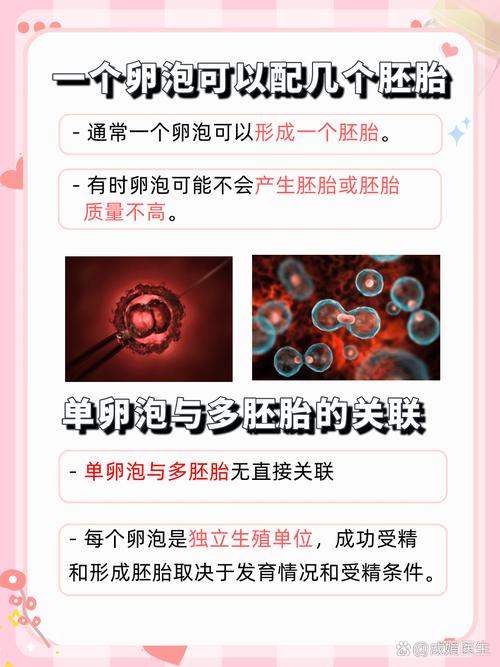 胚胎配对