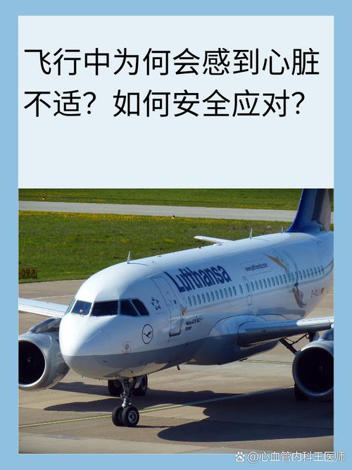 安全登机
