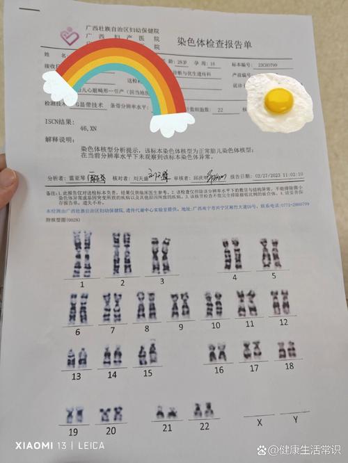  染色体检查