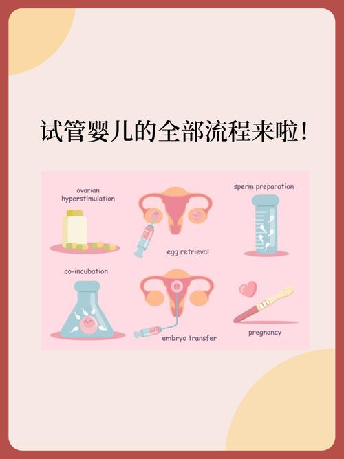 试管婴儿疗程一周内是什么流程？